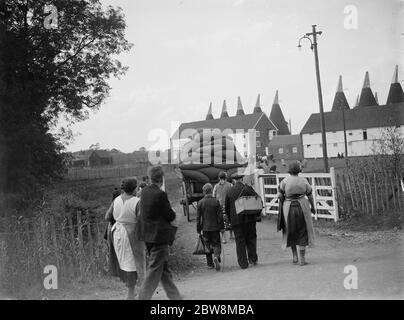 Hop-Picker zu Fuß zurück zu den Häusern mit einem geladenen Wagen. 1935 Stockfoto