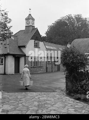 Frau mit Eimern auf einem Bauernhof mit neuer Scheune und Uhrturm. 1935 Stockfoto