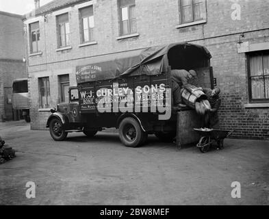 Männer, die Knochen und Tierabfälle von einem WJ Curley ' s LKW in Stratford, East London entladen. Oktober 1937 Stockfoto