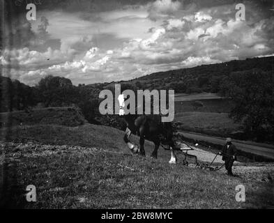 Ein Bauer pflügt mit seinem Pferd. 1935 Stockfoto