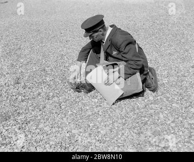 Herr Freathy, der Postbote von Dungeness, zieht ihm hölzerne Strandschuhe an, um ihn über die Kieselsteine am Kiesstrand zu laufen. 1935 Stockfoto