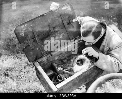 Tommts Nest in Werkzeugkasten in Lenham . 1936 Stockfoto