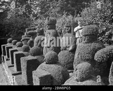 Ein Groundsman trimmt die Topiarfiguren auf Hever Castle. 1938 Stockfoto