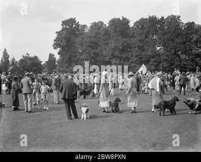 Jubilee Häuser Fete in Sidcup Place. Hunde werden auf Ausstellung gestellt. 1936 Stockfoto