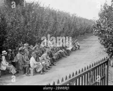 Der Konferenztag in der East Malling Research Station in Kent. 14. September 1938 Stockfoto