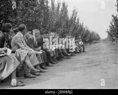 Der Konferenztag in der East Malling Research Station in Kent. 14. September 1938 Stockfoto