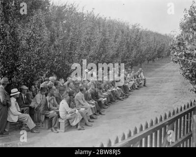 Der Konferenztag in der East Malling Research Station in Kent. 14. September 1938 Stockfoto