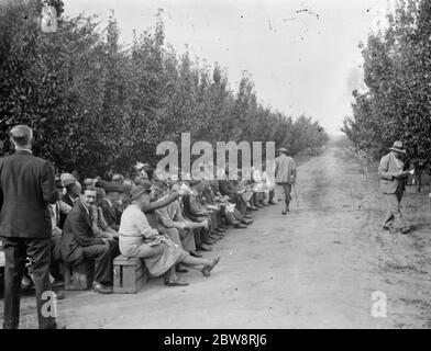 Der Konferenztag in der East Malling Research Station in Kent. 14. September 1938 Stockfoto