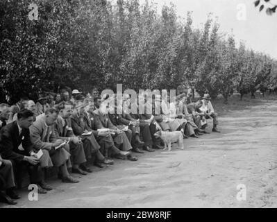 Der Konferenztag in der East Malling Research Station in Kent. 14. September 1938 Stockfoto