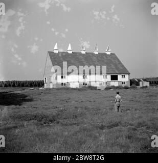 Eine neue Art von Oasthaus in Paddock Wood , Kent . 1936 Stockfoto