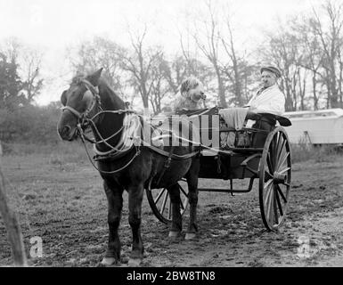 Herr Groombridge und sein Schäferhund rauchen ihre Pfeifen an Bord ihrer poney-Falle. 1936 Stockfoto