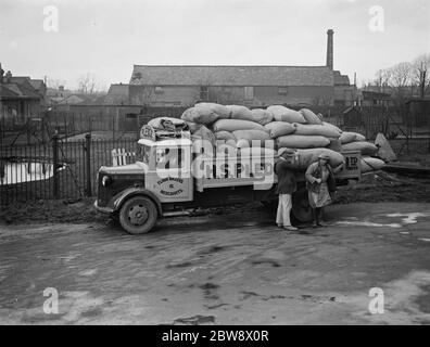 Arbeiter entladen Säcke von einem Bedford LKW von Pledge & Son Ltd, der Müllerei, auf einer ihrer Lieferungen in Ashford, Kent. 1939 Stockfoto