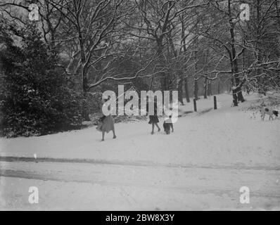 Wanderer und ihre Hunde genießen den Schnee auf Chislehurst Common, Kent. 1936 Stockfoto