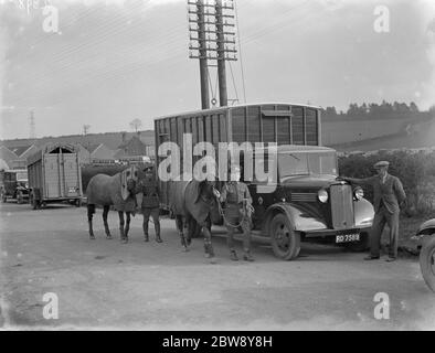 Zwei Pferde werden von einem Bedford LKW Pferdekasten weg geführt. 1936 Stockfoto