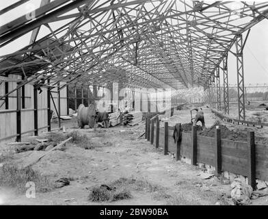 Die Arbeiten werden auf dem Crayford und Bexleyheath Greyhound Stadium in Kent, von den Erbauern W & C Französisch aus Essex. 1937 Stockfoto