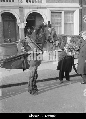 Ein Kabman 's Beerdigung. Der Sarg von William Rose, der durch die Straßen von hither Green, London, geht. März 1939 Stockfoto