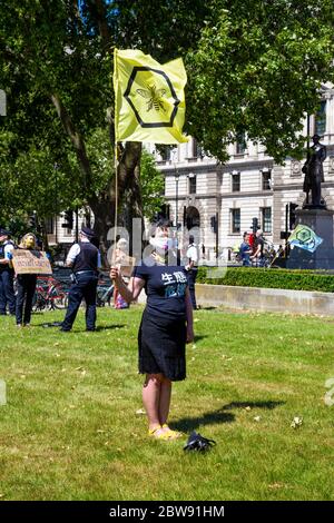 30. Mai 2020 London, UK - Extinction Rebellion inszeniert schweigenden sozial distanzierten Klimawandel-Protest in Westminster, Demonstranten, die von der Polizei wegen Verletzung der Coronavirus-Vorschriften bestraft und weggenommen werden Stockfoto