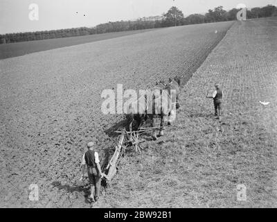 Ein Bauer und sein Team von Pferden pflügen ein Feld in Kent. 1939 . Stockfoto