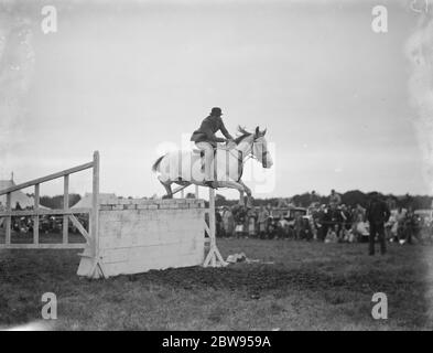 Eine Pferdeshow in Westerham, Kent. Der Springreitwettbewerb . 1936 Stockfoto