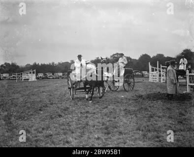 Milchwagen auf einer Pferdeshow in Westerham, Kent. 1936 Stockfoto