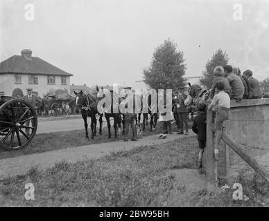 Armee-Manöver in Orpingon, Kent. Truppen stoppen zu essen und ihre Tiere zu füttern. 1936 Stockfoto