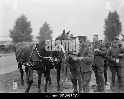 Armee-Manöver in Orpingon, Kent. Truppen stoppen zu essen und ihre Tiere zu füttern. 1936 Stockfoto