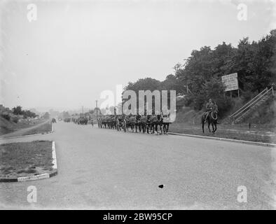 Armee-Manöver in Orpingon, Kent. Pferde zeichnen Artillerie Stücke . 1936 Stockfoto