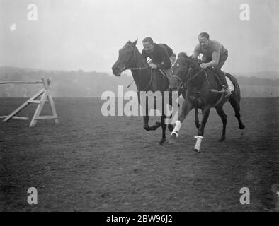 Neuer Epsom Trainer beginnt die Arbeit für die großen Rennen. Eine Lizenz zum Zug wurde gerade von der Jockey Club Herrn Arthur S Boxall , ein bekannter North London Estate Agent , der in Epsom gelebt hat und besaß Pferde für eine Reihe von Jahren gewährt. Herr Boxall führt seine Trainingsarbeit in den sehr frühen Morgenstunden und hat einige wahrscheinlich Kandidaten in Vorbereitung auf die großen Rennen in diesem Sommer , einschließlich Sprint , der in der Stadt und im Vorburban engagiert . Herr Arthur Boxall auf Sprint (rechts) begleitet von einem anderen seiner Pferde Prince Charming, in einem frühen Morgen Galopp auf Epsom Downs. April 1932 Stockfoto