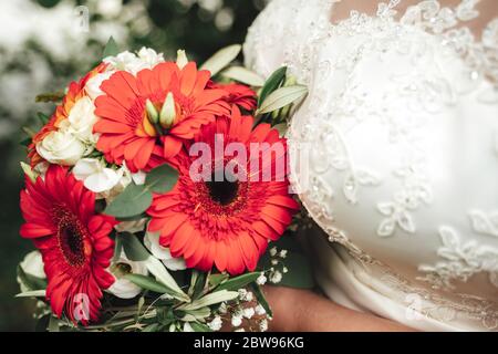 Rote Gerbera Blumen kombiniert mit weißen Rosen in Hochzeitsstrauß. Braut in weißer Spitze Brautkleid mit Blumen. Stockfoto