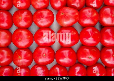 Hintergrund von frischen roten großen Tomaten liegen in den Rötchen auf dem Markt oder Lebensmittelgeschäft. Bio-Gemüse. Stockfoto