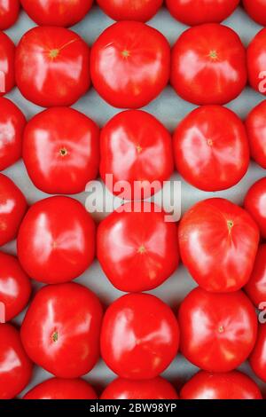 Eine Gruppe von roten frischen Tomaten im Supermarkt. Bio-Lebensmittel Tomate. Stockfoto