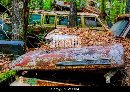 Haube des rostigen Ford F-100 Stockfoto