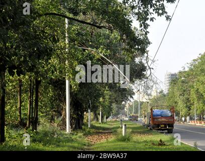 Indien. Mai 2019. Nach zwei Wochen Super-Zyklon Amphan, entwurzelte Bäume auf Trambahn und Oberleitung während der bundesweiten Sperrung. (Foto von Anubrata Mondal/Pacific Press) Quelle: Pacific Press Agency/Alamy Live News Stockfoto