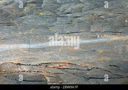 Wanderer erkunden den Puu Puai Vulkan Krater während der Fahrt auf dem Kilauea Iki Trail im Hawaii Volcanoes National Park auf der Big Island von Hawaii. Stockfoto