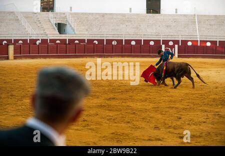 Der spanische Stierkämpfer Fernando Rey tritt mit einem Steer während einer Meisterklasse der Stierkämpfe auf einer leeren Stierkampfarena von La Malagueta auf, während die teilweise Sperrung im Land inmitten der Coronavirus-Krankheit fortgesetzt wird. Der spanische Stierkämpfer Fernando Rey hat einen Meisterkurs mit Studenten der Stierkampfschule ohne Anwesenheit von Zuschauern gegeben, um die Ausbreitung des Coronavirus zu verhindern. Diese Situation zeigt eine leere Stierkampfarena und ist das erste Stierkampf-Ereignis in der Stadt seit dem Beginn des Notstandes. Stockfoto