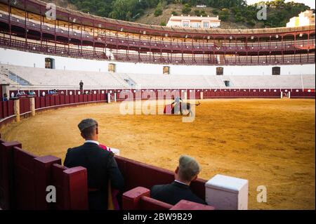 Der spanische Stierkämpfer Fernando Rey tritt mit einem Steer während einer Meisterklasse der Stierkämpfe auf einer leeren Stierkampfarena von La Malagueta auf, während die teilweise Sperrung im Land inmitten der Coronavirus-Krankheit fortgesetzt wird. Der spanische Stierkämpfer Fernando Rey hat einen Meisterkurs mit Studenten der Stierkampfschule ohne Anwesenheit von Zuschauern gegeben, um die Ausbreitung des Coronavirus zu verhindern. Diese Situation zeigt eine leere Stierkampfarena und ist das erste Stierkampf-Ereignis in der Stadt seit dem Beginn des Notstandes. Stockfoto