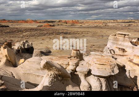 NM00258-00...NEW MEXICO - Hoodoos an den steilen Bergkämmen der Bisti Wildnis gelegen. Stockfoto