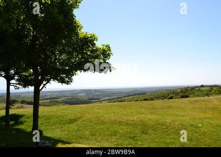 Ein schöner Frühsommertag am Chanctonbury Ring, West Sussex, auf dem South Downs Way Stockfoto