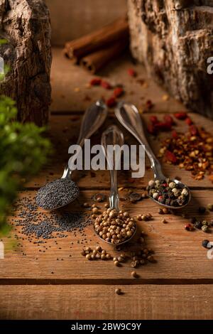 Drei Silberlöffel mit Gewürzen auf einem Holztisch mit trockener Chilischote, Koriander und Mohn Stockfoto