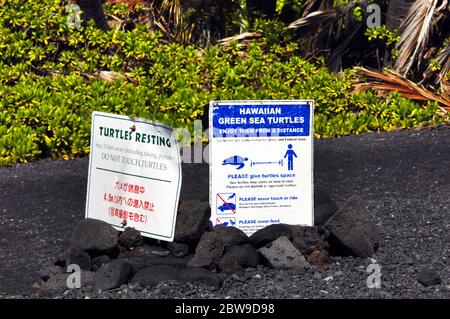 Zwei Metallschilder, die von schwarzen Lavafelsen gestützt werden, warnen Touristen davor, die gefährdeten grünen Meeresschildkröten zu berühren oder ihnen zu nahe zu kommen. Stockfoto