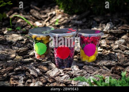 Die Beeren und die Früchte in den Gläsern auf dem Hintergrund der Holzrinde. Frische Smoothie-Zutaten, gesunde Ernährung, Entgiftung Stockfoto