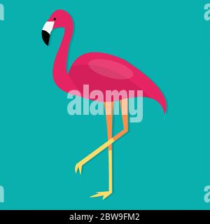 Rosa Flamingo Vogel isoliert Vektor-Illustration Stock Vektor