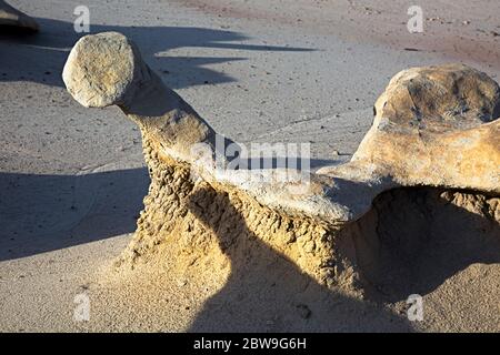 NM00279-00...NEW MEXICO - Ungerade Formen, die durch Verwitterung und Erosion in der Bisti Wildnis entstehen. Stockfoto