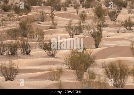 ksar ghilane, südtunesisch Stockfoto