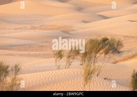 ksar ghilane, südtunesisch Stockfoto