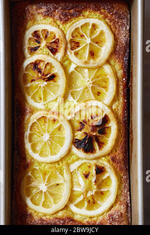 Zitronenkuchen in Backform Stockfoto