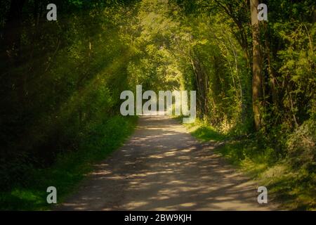 Land zu Fuß Stockfoto