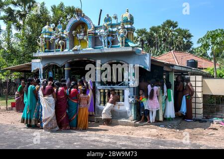 Hindu-Anbeter versammeln sich um einen kleinen Hindu Kovil (Tempel) auf der Jaffna to Kuirkadduwan Road im Norden Sri Lankas. Stockfoto