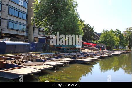 Cambridge, Großbritannien. Mai 2020. An der Mill Lane Punt Station am River Cam stehen Punt-Stunts leer und untätig.Cambridge, eine Stadt, die für ihre Punt-Stunts berühmt ist, kann Touristen nach den aktuellen Regierungsrichtlinien nicht den Service anbieten. Scudamores, die größte Punt Hire Company der Stadt, hat den Betrieb eingestellt und die vielen Punt-Stationen der Stadt stehen aufgrund der Coronavirus-Pandemie ungenutzt. Quelle: SOPA Images Limited/Alamy Live News Stockfoto