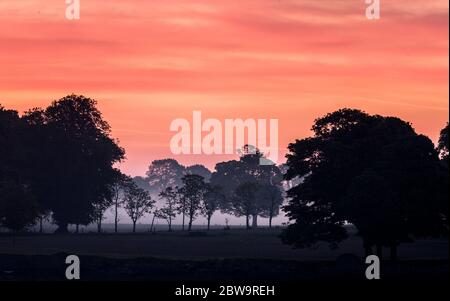 Carrigaline, Cork, Irland. Mai 2020. Nebel und Nebel beginnen sich bei Sonnenaufgang über den landwirtschaftlichen Flächen des Coolmore Estate außerhalb von Carrigaline, Co. Cork, Irland zu bilden. Wetter heute an der Südküste sind hell und sonnig mit Temperaturen von 22 - 26 Grad Celcius. - Credit; David Creedon / Alamy Live News Stockfoto